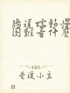 肠道蠕动慢排便困难看什么科