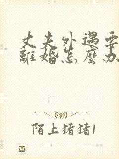 丈夫外遇要和我离婚怎么办