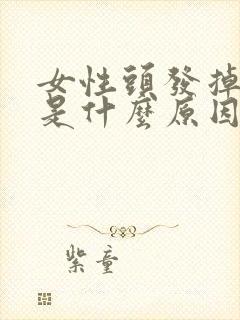 女性头发掉太多是什么原因