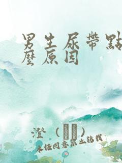 男生尿带点血什么原因