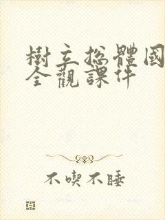 树立总体国家安全观课件