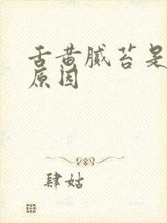 舌黄腻苔是什么原因