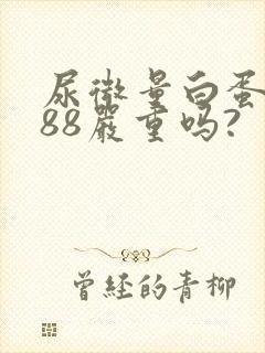 尿微量白蛋白高88严重吗?