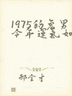 1975的兔男今年运气如何