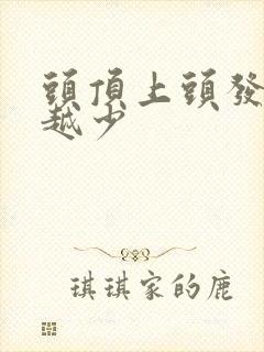 头顶上头发越来越少