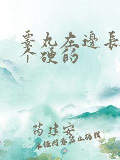 睾丸左边长了一个硬的