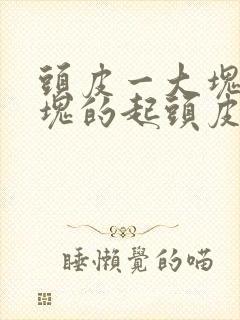 头皮一大块一大块的起头皮屑