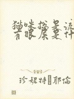 猫咪总是流眼泪有眼屎是什么原因