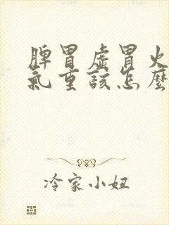 脾胃虚胃火旺湿气重该怎么调理