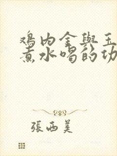 鸡内金与玉米须煮水喝的功效