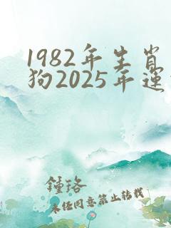 1982年生肖狗2025年运势及运程详解