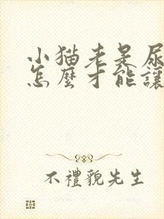 小猫老是尿床上怎么才能让它改掉