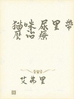 猫咪尿里带血怎么治疗