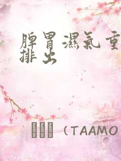 脾胃湿气重怎样排出