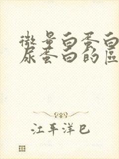 微量白蛋白尿和尿蛋白的区别