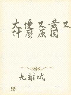 大便又黄又稀是什么原因