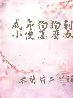 成年狗狗到处大小便怎么办