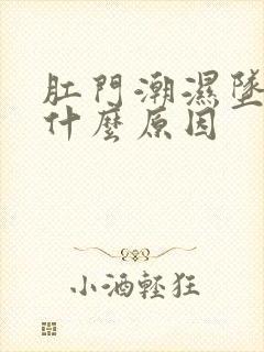 肛门潮湿坠胀是什么原因