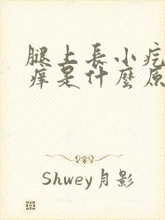 腿上长小疙瘩很痒是什么原因