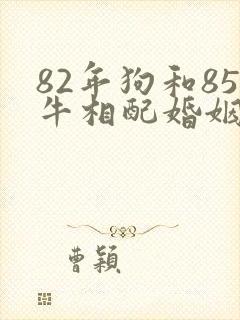82年狗和85牛相配婚姻如何