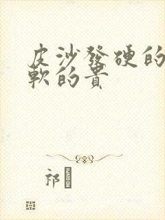 皮沙发硬的还是软的贵