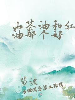 山茶油和红花籽油哪个好