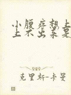 小腹疼想上大便上不出来是怎么回事