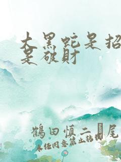 大黑蛇是招财还是破财