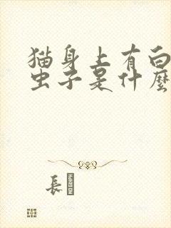 猫身上有白色的虫子是什么