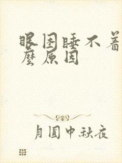 眼困睡不着是什么原因