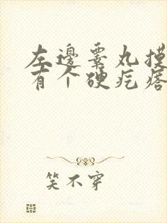 左边睾丸摸上去有个硬疙瘩,怎么办?