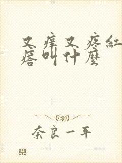 又痒又疼红色疙瘩叫什么