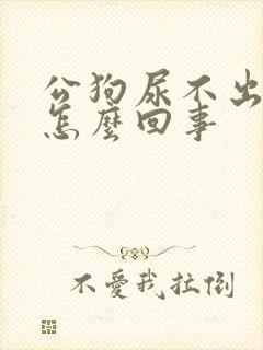 公狗尿不出来尿怎么回事