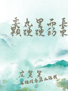 睾丸里面长了一颗硬硬的东西