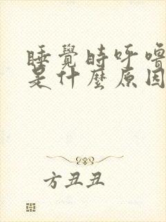 睡觉时呼噜声大是什么原因