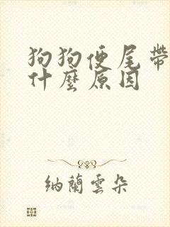 狗狗便尾带血是什么原因