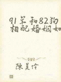 91羊和82狗相配婚姻如何
