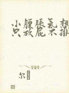 小腹胀气想大便只放屁不排便