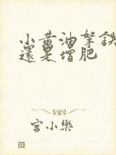 小黄油拿铁减肥还是增肥