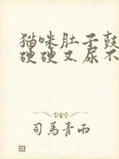 猫咪肚子鼓鼓的硬硬又尿不出怎么回事