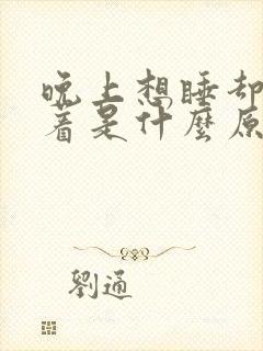 晚上想睡却睡不着是什么原因