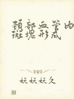 颈部血管内粥样斑块形成