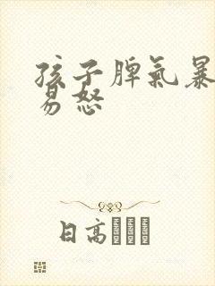 孩子脾气暴躁,易怒