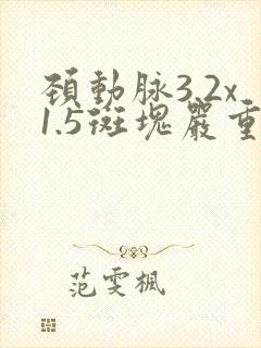 颈动脉3.2x1.5斑块严重吗