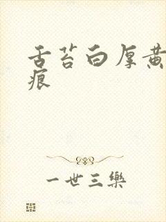 舌苔白厚黄有齿痕