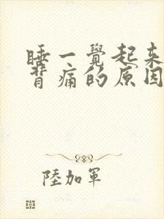 睡一觉起来腰酸背痛的原因