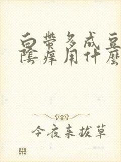 白带多成豆腐渣阴痒用什么药