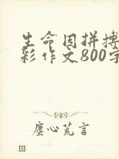 生命因拼搏而精彩作文800字作文