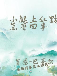 小腿上红点痒是怎么回事