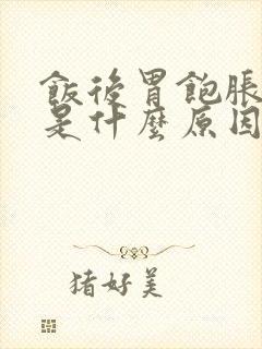 饭后胃饱胀打嗝是什么原因